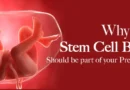 Why Stem Cell Banking Should Be Part of Your Pregnancy Checklist